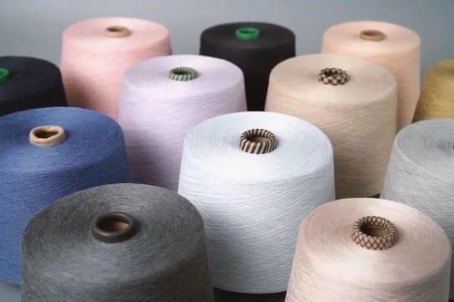 柯橋先行示范之路 瞄準“雙碳”目標，加速綠色轉型推動共同富裕